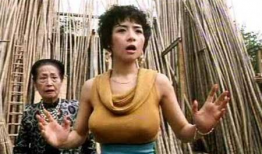 叶子楣演的电影,经典银幕形象回顾