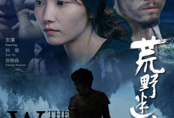 迷情电影,探寻情感迷雾中的心灵轨迹